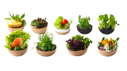 Appetizing Vegan Bites: A vibrant collection of ten miniature vegan canapés, each a tiny work of art, showcasing fresh, colorful ingredients in charming cork bowls. Perfect for catering, events.