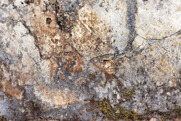 Naklejka premium Concrete cement cracked wall texture for background 