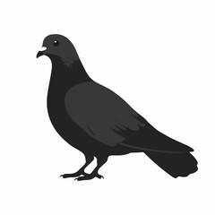 Pigeon Silhouette on White Background Vector Illustration