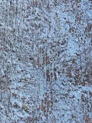Rough painted pavement or wall