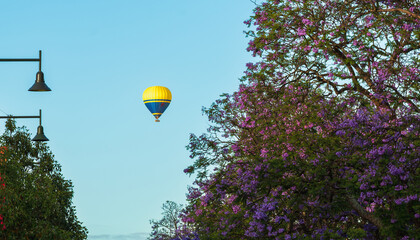 Camden is a historic town and suburb of Sydney, New South Wales, located 65 kilometers south-west...