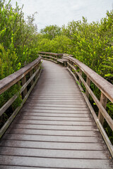 Boardwalk at Everglades National Park, Florida, United States