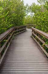 Boardwalk at Everglades National Park, Florida, United States