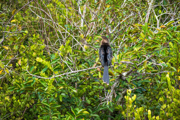 Everglades National Park, Florida, United States