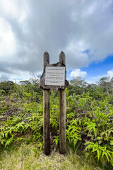 Message for future generations on the importance of saving Mauritius' native forests	
