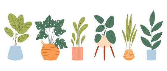 Set of indoor plants in pots. Vector illustration. Collection of house plants. Flat style.