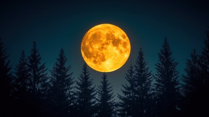 Large orange full moon rising over dark silhouetted pine trees at night.