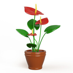 3d anthurium flower in pot for home garden, house or office interior decor. Tropical plant with red blossom, green leaf in flowerpot isolated on white background Realistic render icon. 3D illustration