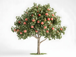 tree with apples