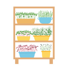 Hand drawn microgreens in pots. Vector illustration in flat style isolated on white background. Micro green. Beets, lettuce, cabbage, sorrel, onion, radish, arugula, peas. Growing superfood at home.