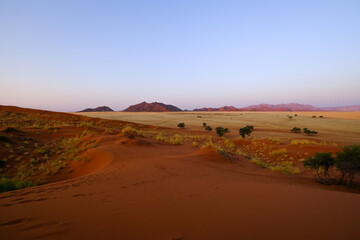 A vibrant Namibian desert scene captured from Elim Dune at sunset. The foreground showcases soft, wind-shaped sand dunes transitioning into golden savannah plains.