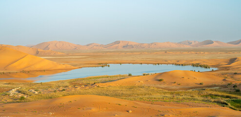 sand dunes in the desert