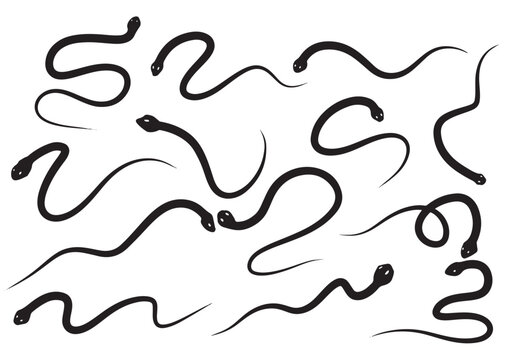 set of hand drawn silhouette of snakes