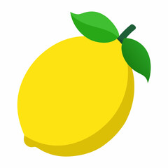 lemon vector