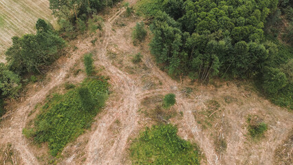 Drone shot of lush green forest contrasting with cleared land due to deforestation