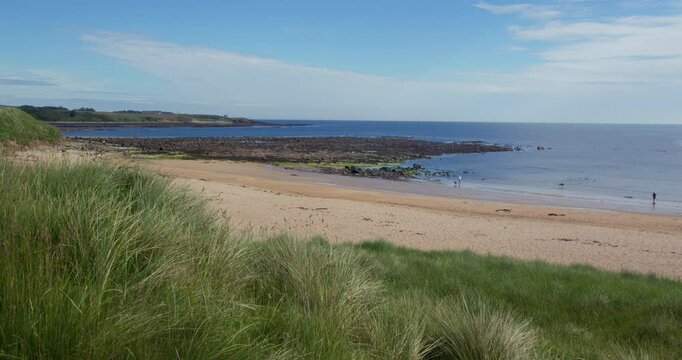 extra wide shot looking north from the dunes at Longhoughton beach of sugar sands beach and Howick haven at lowtide. Alnwick