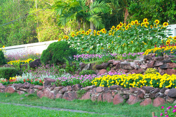 Springtime beauty in the park, with blooming tulips and lush green grass