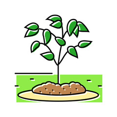 mulching garden maintenance color icon vector. mulching garden maintenance sign. isolated symbol illustration