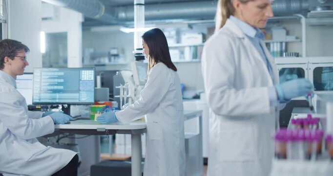 Multidisciplinary Research Team Working on Vaccine Development in a Medical Laboratory with Advanced Equipment. Female and Male Scientists Analyze Data on Computer, Talk and Handle Samples
