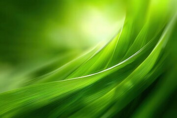 Obraz premium A green leafy plant with a wavy stem