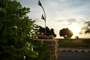 buddha statue at temple