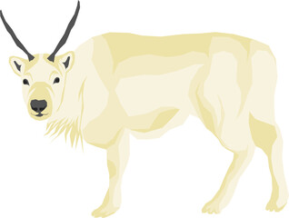 Illustration of polar animals