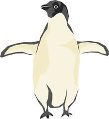 Illustration of polar animals