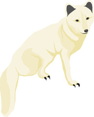 Illustration of polar animals