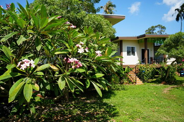 house in the garden with flowers
