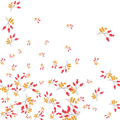 Red Berries Background White Vector. Herb Vibrant Illustration. Pink Foliage Border. Rowan Design. Leaf Gradation.