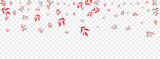 Burgundy Foliage Background Transparent Vector. Leaf Season Template. Red Leaves. Green Berries October. Symbol Design.