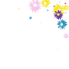 Color Petal Background White Vector. Flower Hand Drawn Illustration. Colorful Plant Beautiful. Chic Template. Fabric Pink Garden.