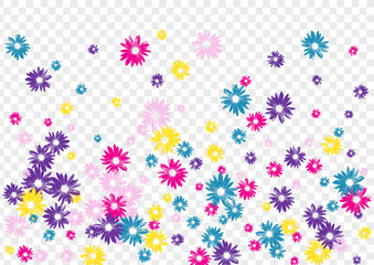 Pink Garden Background Transparent Vector. Flowers Blossom Backdrop. Multi-colored Chamomile Abstract. Holiday Card. Flowering Period Blue Leaf.