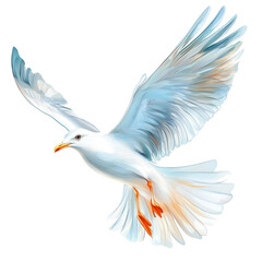 Obraz premium A white bird with orange feet is flying in the air