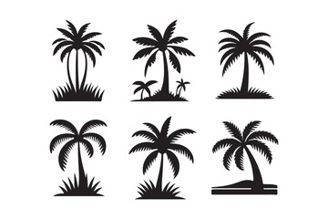  Palm Tree set Illustrations