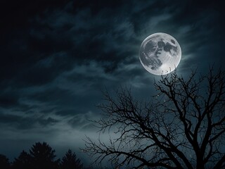 Fototapeta premium moon and clouds