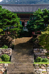 pine trees and Buddhist temple building