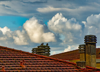 View of two pigeons perched on a chimney of a city roof