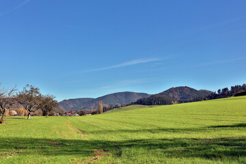 Fototapeta premium Herbstlandschaft in Kirchzarten bei Freiburg