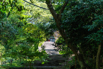 Naklejka premium stairway to the Buddhist temple in the forest