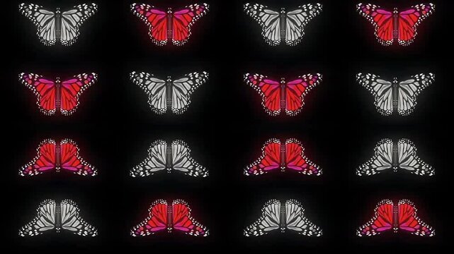 butterflies flapping their wings original background (