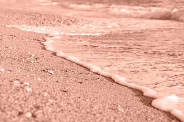 Sea shore in the rays of the setting sun. Mocha Mousse - the color of the year 2025