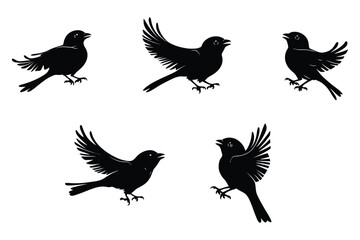Obraz premium Dynamic Bird Silhouette Collection with Flying and Perching Poses