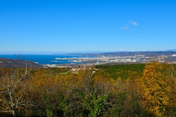 View of the port city of Trieste at the coast of the Adriatic sea in Italy in autumn