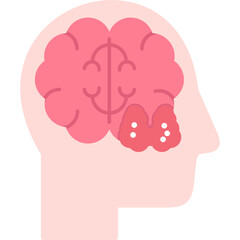 Medulla Oblongata Icon