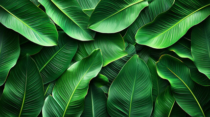 Obraz premium Abstract green leaf background
