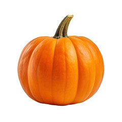Obraz premium Single mini pumpkin isolated on transparent background Png 
