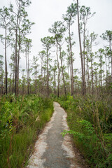 Everglades National Park, Florida, United States