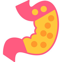 Duodenum Icon