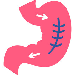 Gastrectomy Icon